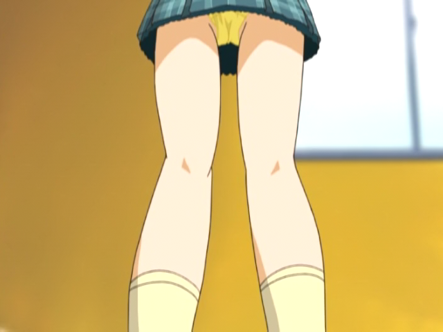 Maple Colors (Animex)